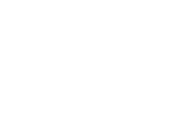 The International Preschools Logo White