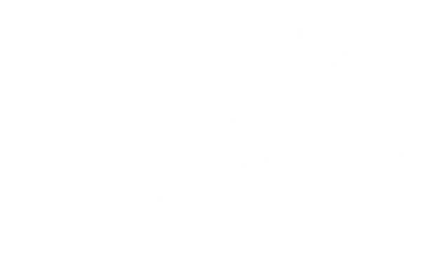 The International Preschools Logo White