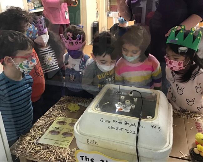 Before:  Children observe the fertilized eggs in the incubator at our 86th Street location.