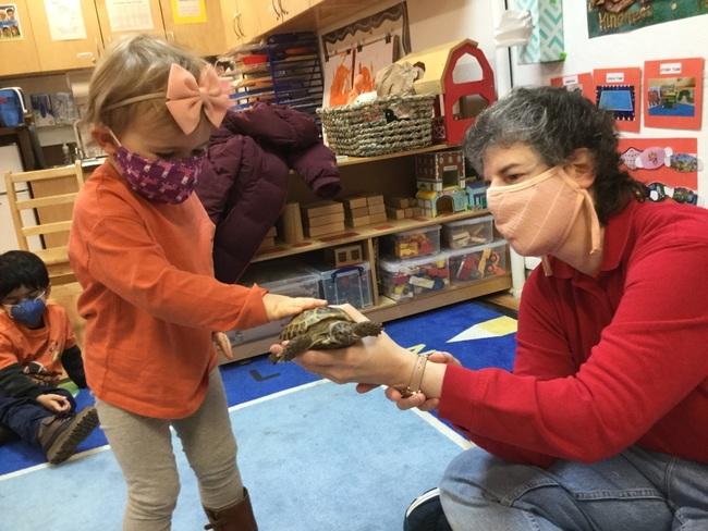 Ms. Gabby from the Art Farm NYC handles a turtle for a Red Room child.