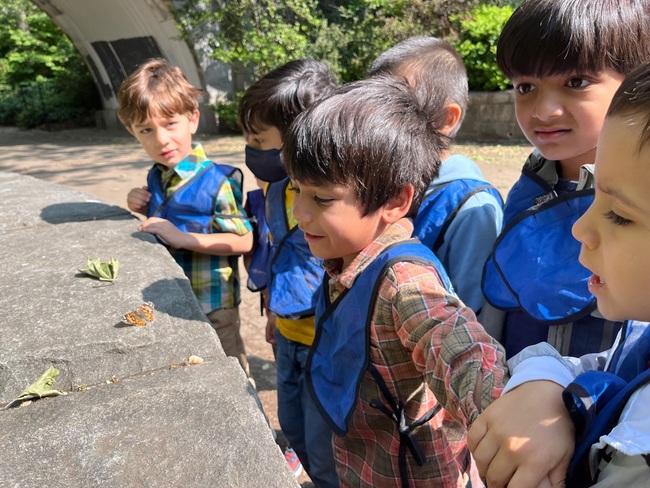 The Pre-K children observe the butterflies that were just released into Carl Schurz Park.
