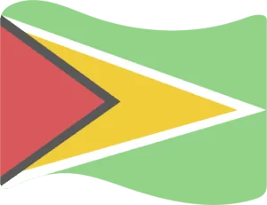 Guyana Flag Icon