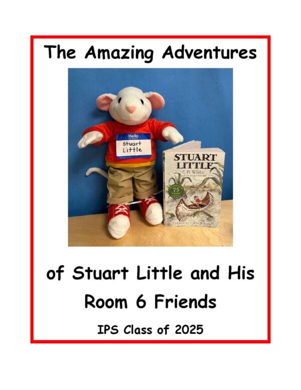 Room 6 Class Journal