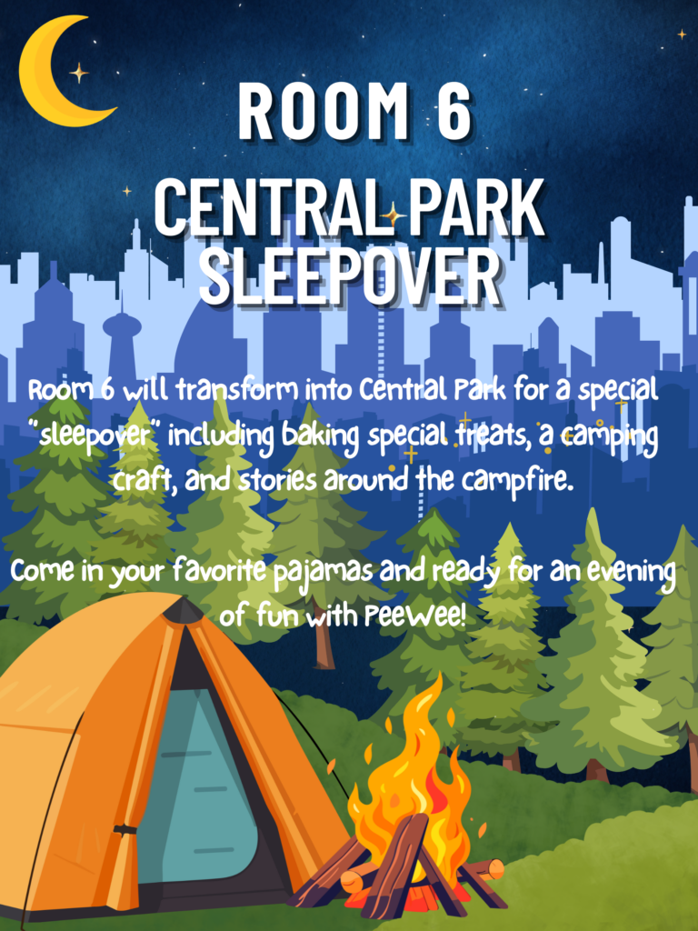 Room 6 Central Park Sleepover
